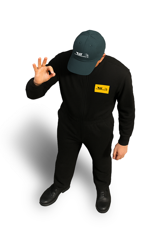 LuxDezmembrari